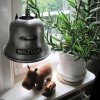 Nilfisklampe